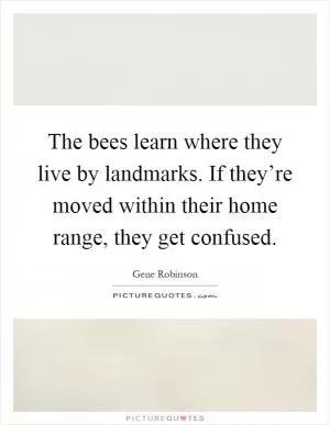 The bees learn where they live by landmarks. If they’re moved within their home range, they get confused Picture Quote #1