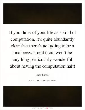 If you think of your life as a kind of computation, it’s quite abundantly clear that there’s not going to be a final answer and there won’t be anything particularly wonderful about having the computation halt! Picture Quote #1