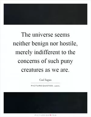 The universe seems neither benign nor hostile, merely indifferent to the concerns of such puny creatures as we are Picture Quote #1