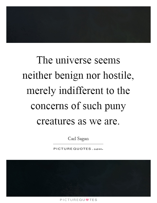 The universe seems neither benign nor hostile, merely indifferent to the concerns of such puny creatures as we are Picture Quote #1
