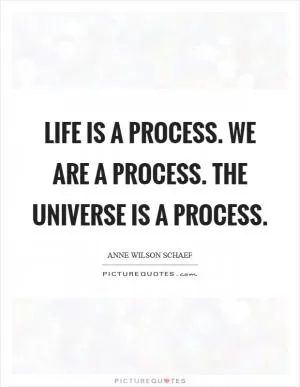 Life is a process. We are a process. The universe is a process Picture Quote #1