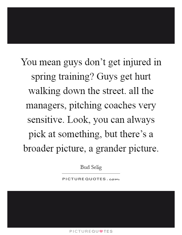 You mean guys don't get injured in spring training? Guys get hurt walking down the street. all the managers, pitching coaches very sensitive. Look, you can always pick at something, but there's a broader picture, a grander picture Picture Quote #1