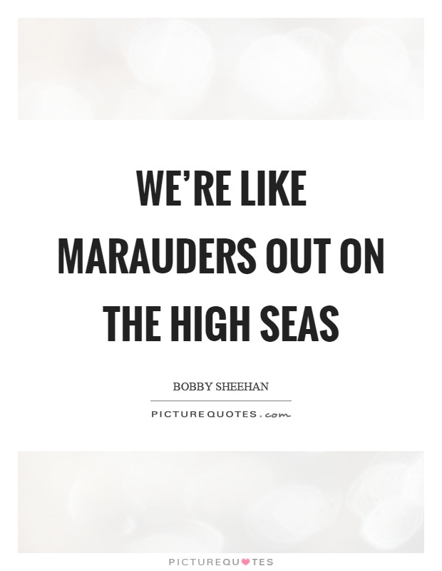 We're like marauders out on the high seas Picture Quote #1