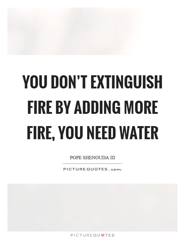 You don't extinguish fire by adding more fire, you need water Picture Quote #1