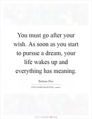 You must go after your wish. As soon as you start to pursue a dream, your life wakes up and everything has meaning Picture Quote #1