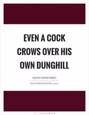 Even a cock crows over his own dunghill Picture Quote #1