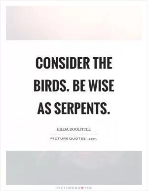 Consider the birds. Be wise as serpents Picture Quote #1