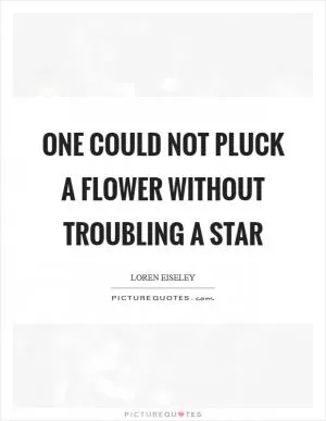 One could not pluck a flower without troubling a star Picture Quote #1