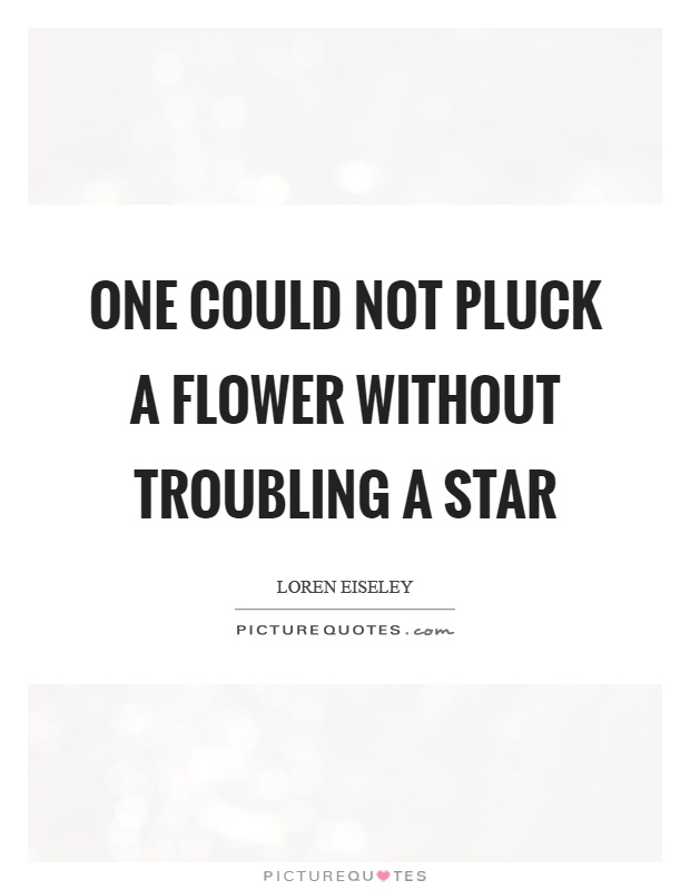 One could not pluck a flower without troubling a star Picture Quote #1