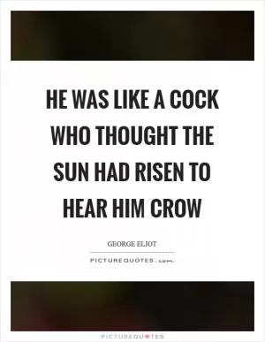 He was like a cock who thought the sun had risen to hear him crow Picture Quote #1