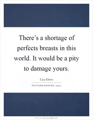 There’s a shortage of perfects breasts in this world. It would be a pity to damage yours Picture Quote #1