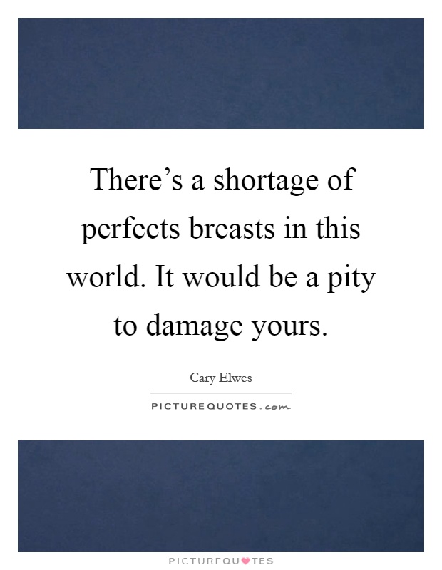 There's a shortage of perfects breasts in this world. It would be a pity to damage yours Picture Quote #1