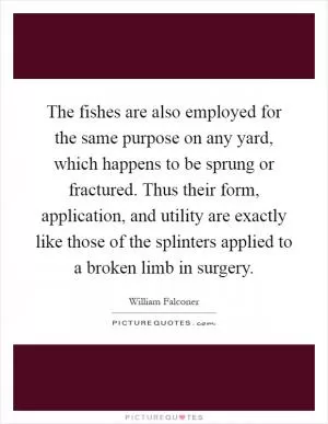 The fishes are also employed for the same purpose on any yard, which happens to be sprung or fractured. Thus their form, application, and utility are exactly like those of the splinters applied to a broken limb in surgery Picture Quote #1