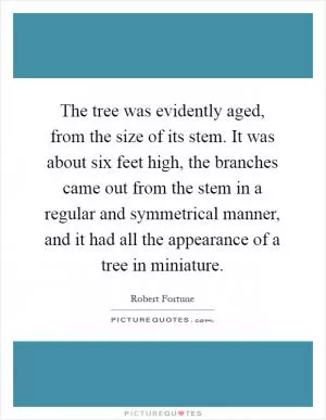 The tree was evidently aged, from the size of its stem. It was about six feet high, the branches came out from the stem in a regular and symmetrical manner, and it had all the appearance of a tree in miniature Picture Quote #1