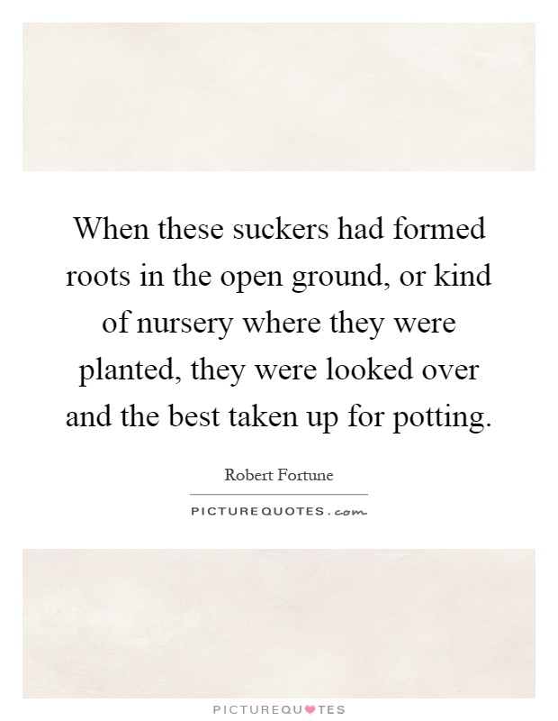 When these suckers had formed roots in the open ground, or kind of nursery where they were planted, they were looked over and the best taken up for potting Picture Quote #1