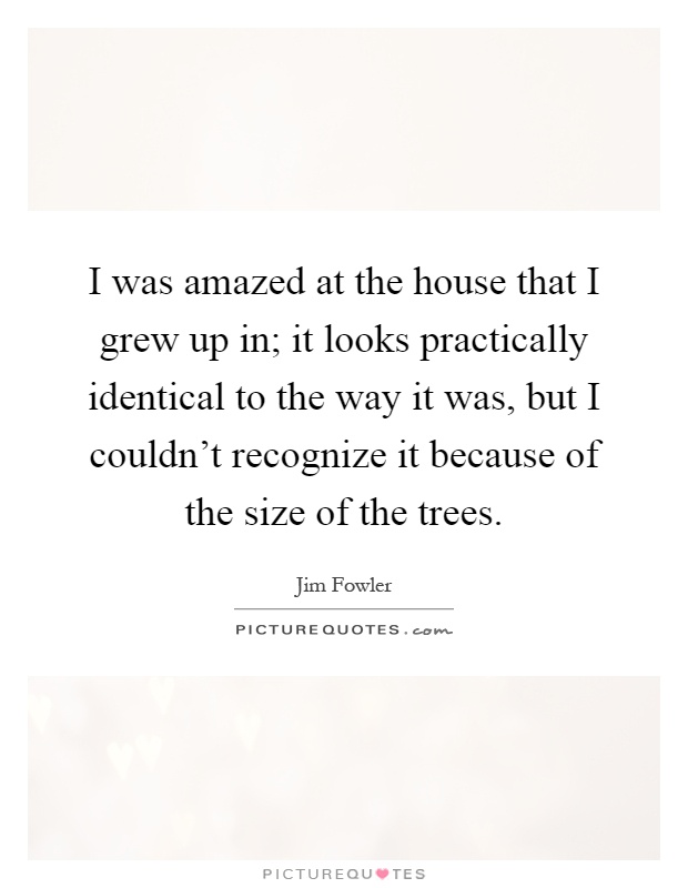 I was amazed at the house that I grew up in; it looks practically identical to the way it was, but I couldn't recognize it because of the size of the trees Picture Quote #1