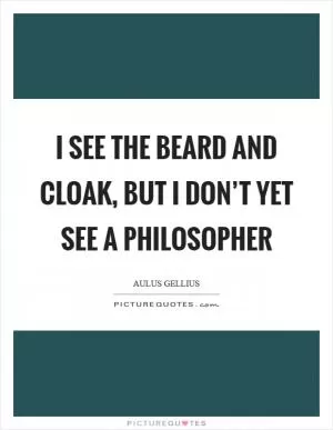 I see the beard and cloak, but I don’t yet see a philosopher Picture Quote #1
