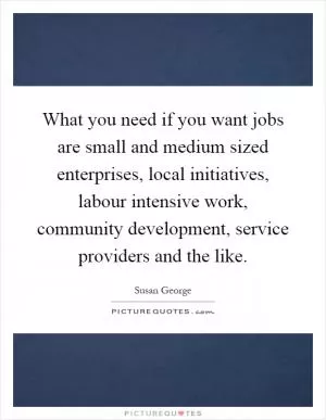 What you need if you want jobs are small and medium sized enterprises, local initiatives, labour intensive work, community development, service providers and the like Picture Quote #1