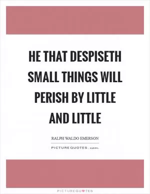 He that despiseth small things will perish by little and little Picture Quote #1