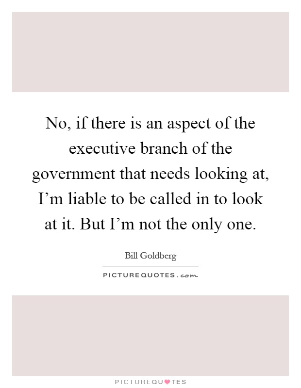 No, if there is an aspect of the executive branch of the government that needs looking at, I'm liable to be called in to look at it. But I'm not the only one Picture Quote #1