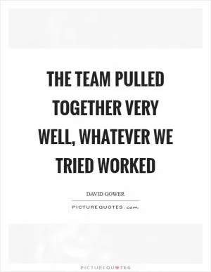 The team pulled together very well, whatever we tried worked Picture Quote #1