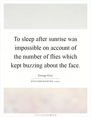 To sleep after sunrise was impossible on account of the number of flies which kept buzzing about the face Picture Quote #1