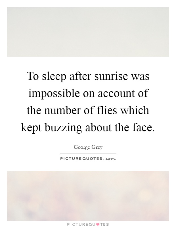 To sleep after sunrise was impossible on account of the number of flies which kept buzzing about the face Picture Quote #1