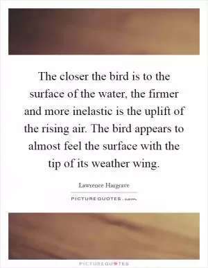 The closer the bird is to the surface of the water, the firmer and more inelastic is the uplift of the rising air. The bird appears to almost feel the surface with the tip of its weather wing Picture Quote #1