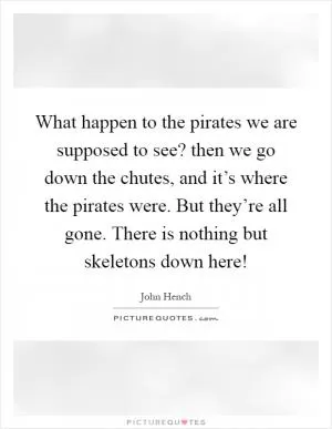 What happen to the pirates we are supposed to see? then we go down the chutes, and it’s where the pirates were. But they’re all gone. There is nothing but skeletons down here! Picture Quote #1