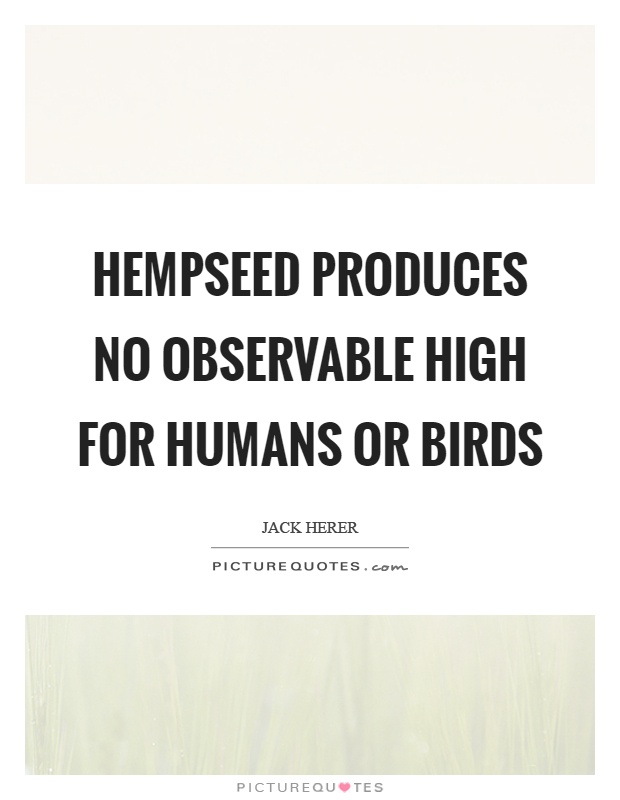 Hempseed produces no observable high for humans or birds Picture Quote #1