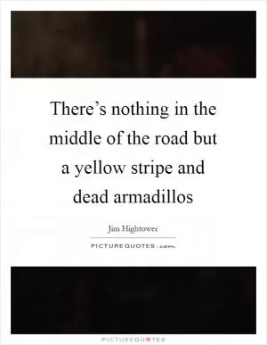 There’s nothing in the middle of the road but a yellow stripe and dead armadillos Picture Quote #1