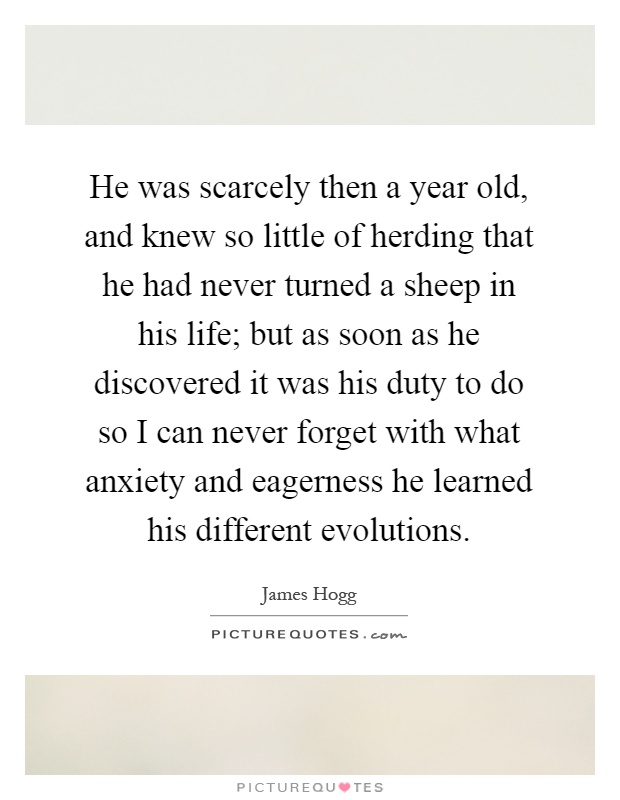 He was scarcely then a year old, and knew so little of herding that he had never turned a sheep in his life; but as soon as he discovered it was his duty to do so I can never forget with what anxiety and eagerness he learned his different evolutions Picture Quote #1