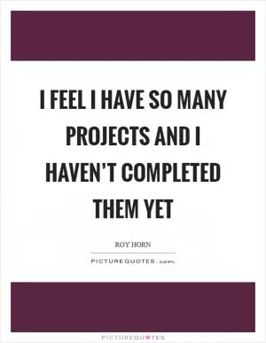 I feel I have so many projects and I haven’t completed them yet Picture Quote #1