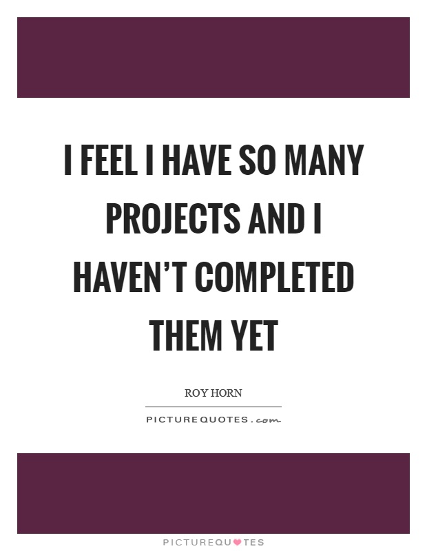 I feel I have so many projects and I haven't completed them yet Picture Quote #1