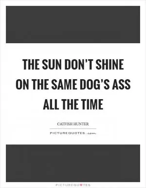 The sun don’t shine on the same dog’s ass all the time Picture Quote #1