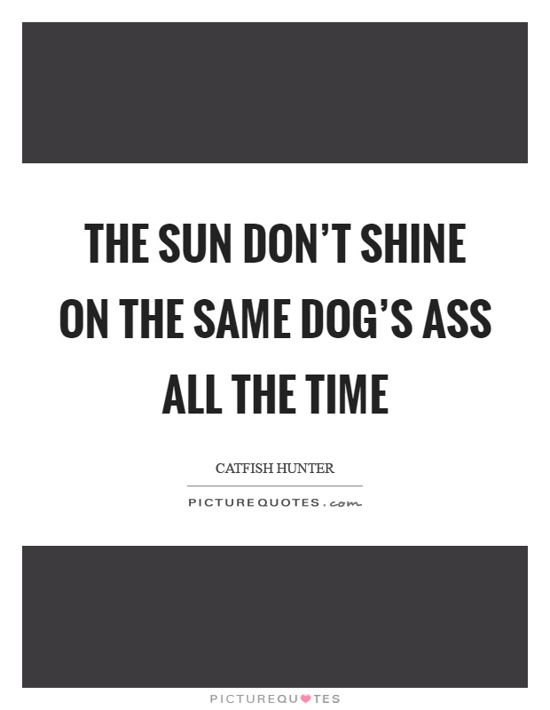 The sun don't shine on the same dog's ass all the time Picture Quote #1