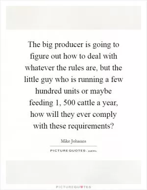 The big producer is going to figure out how to deal with whatever the rules are, but the little guy who is running a few hundred units or maybe feeding 1, 500 cattle a year, how will they ever comply with these requirements? Picture Quote #1