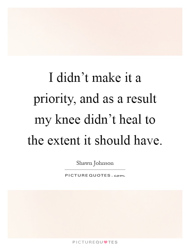 I didn't make it a priority, and as a result my knee didn't heal to the extent it should have Picture Quote #1