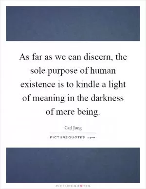 As far as we can discern, the sole purpose of human existence is to kindle a light of meaning in the darkness of mere being Picture Quote #1