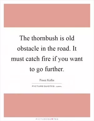 The thornbush is old obstacle in the road. It must catch fire if you want to go further Picture Quote #1
