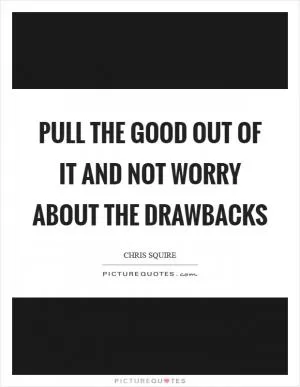 Pull the good out of it and not worry about the drawbacks Picture Quote #1
