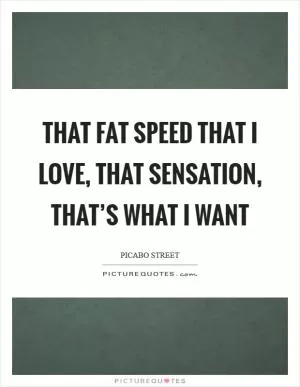 That fat speed that I love, that sensation, that’s what I want Picture Quote #1