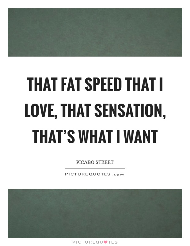 That fat speed that I love, that sensation, that's what I want Picture Quote #1