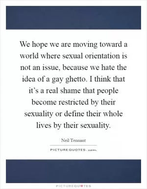 We hope we are moving toward a world where sexual orientation is not an issue, because we hate the idea of a gay ghetto. I think that it’s a real shame that people become restricted by their sexuality or define their whole lives by their sexuality Picture Quote #1
