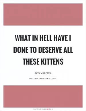 What in hell have I done to deserve all these kittens Picture Quote #1