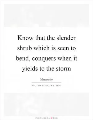 Know that the slender shrub which is seen to bend, conquers when it yields to the storm Picture Quote #1