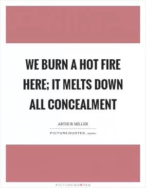 We burn a hot fire here; it melts down all concealment Picture Quote #1