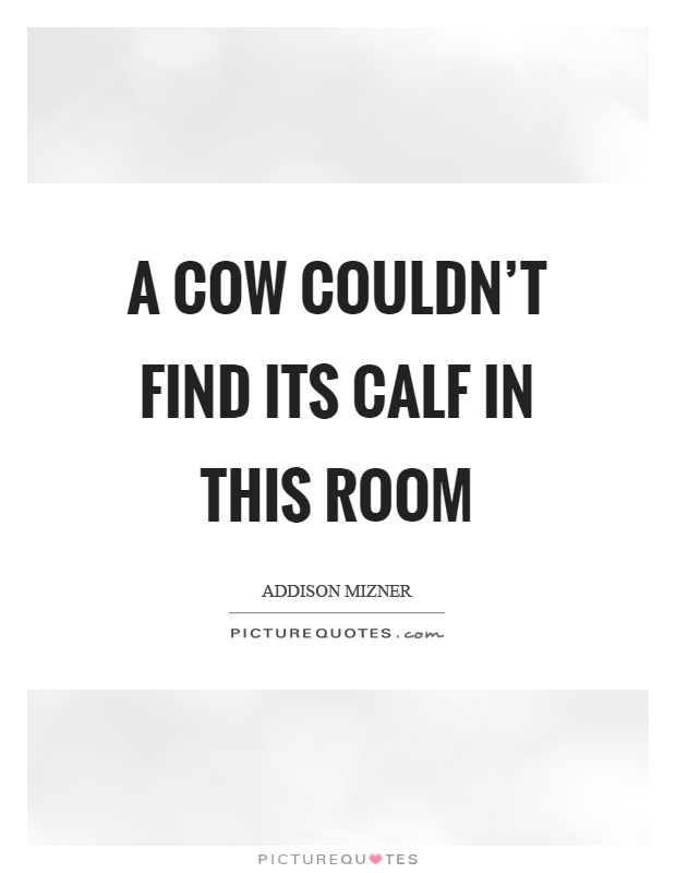 A cow couldn't find its calf in this room Picture Quote #1
