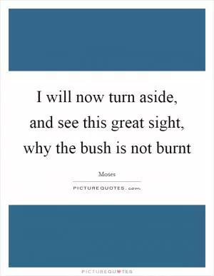 I will now turn aside, and see this great sight, why the bush is not burnt Picture Quote #1