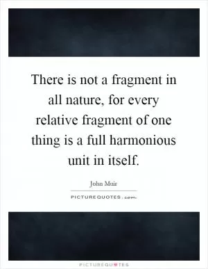There is not a fragment in all nature, for every relative fragment of one thing is a full harmonious unit in itself Picture Quote #1